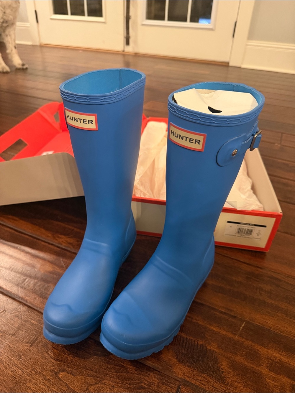 Hunter Blue kids Tall Rain Boots